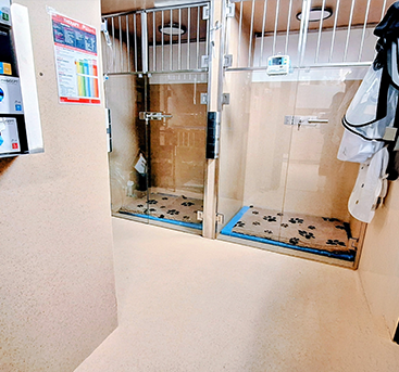 zaplecze przychodni weterynaryjnej