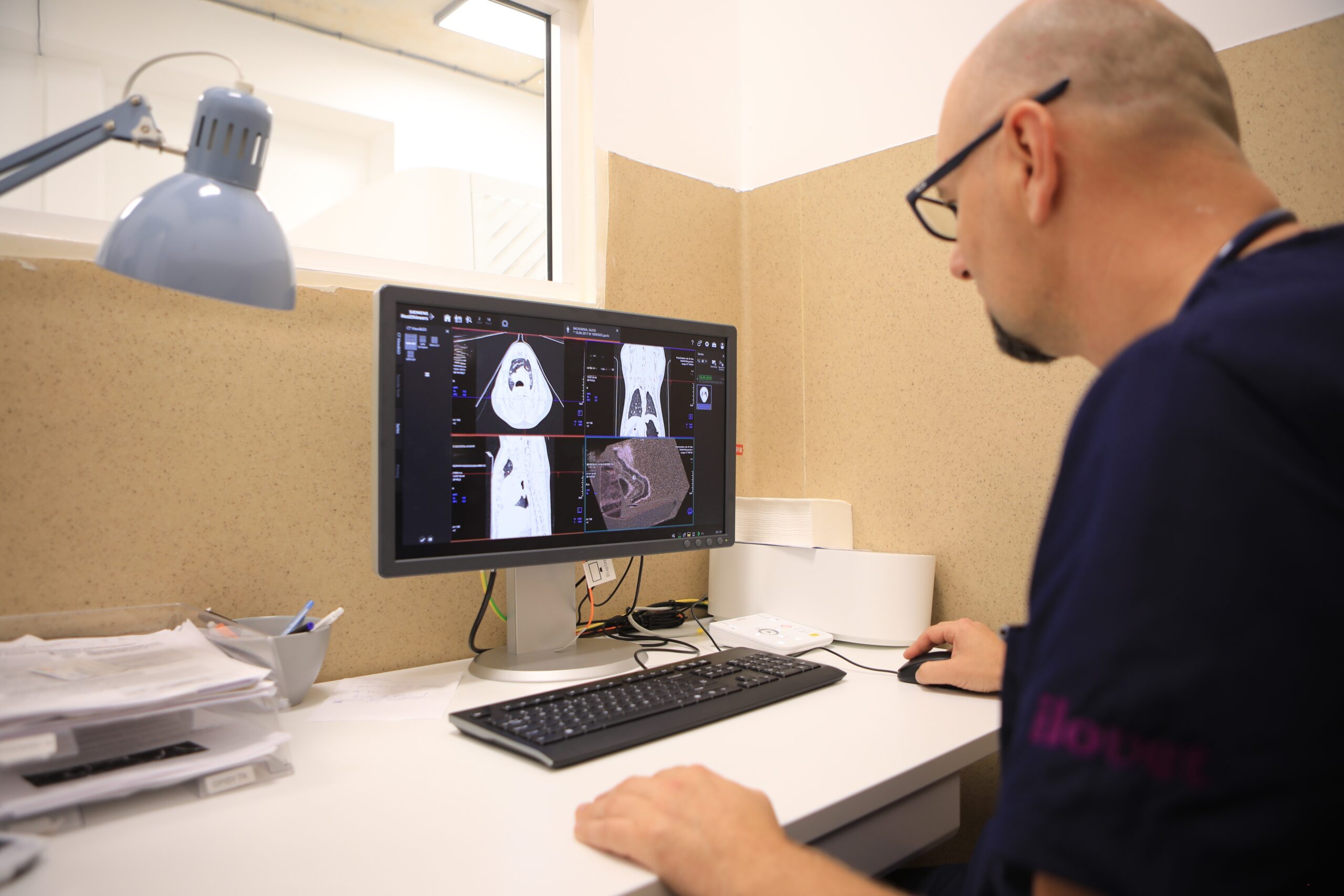 Tomografia komputerowa u psa i kota Kraków DR HAU. Jak przygotować kota lub psa do badania TK? Ile trwa badanie i czy jest bezpieczne?